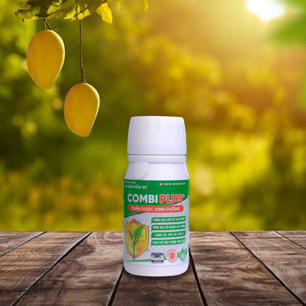 COMBI PLUS của Tân Phú Nông – Phân bón vi lượng giúp cây khỏe mạnh, tăng sức đề kháng, kích rễ và tăng năng suất vượt trội. Hướng dẫn chi tiết cách dùng.