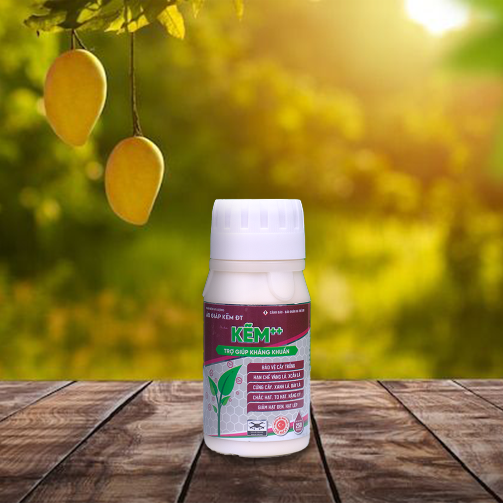 KẼM++ Phân bón vi lượng