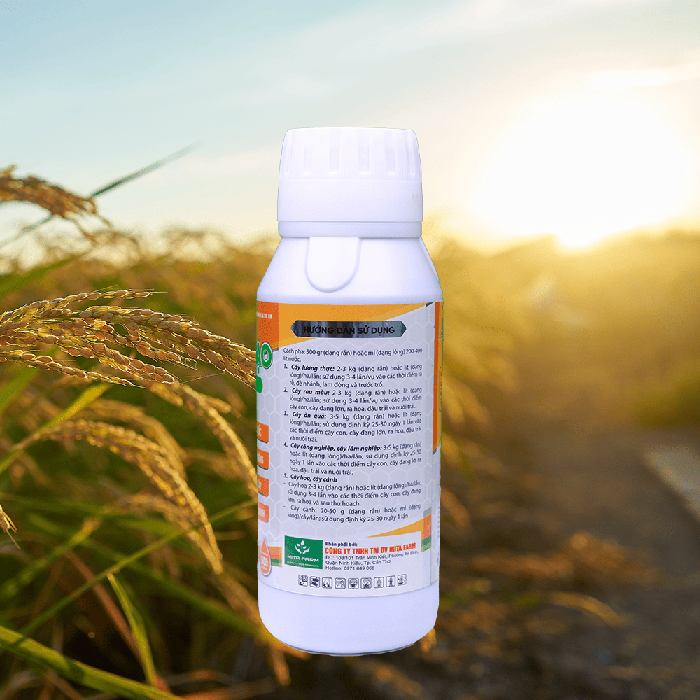 NANO VÔ GẠO - MẬP ĐÒNG - TO HẠT - Hình ảnh 2