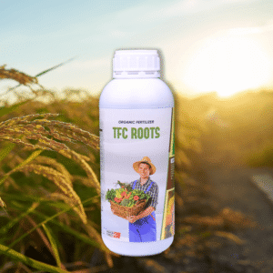 thuoc-bao-ve-thuc-vat