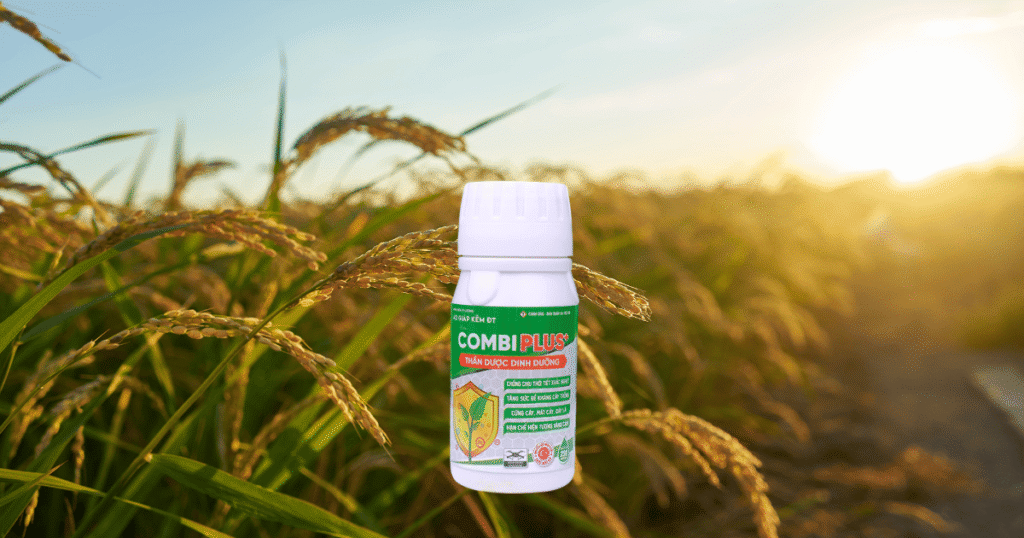 thuốc bảo vệ thực vật