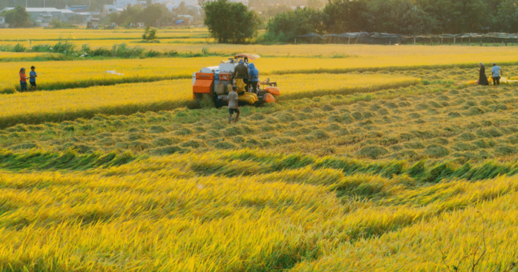 thuốc bảo vệ thực vật