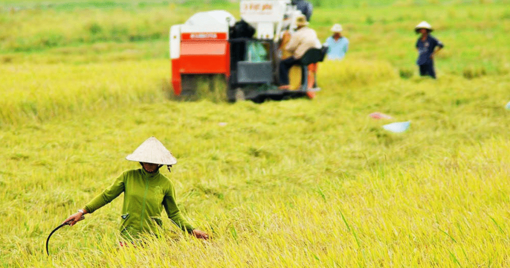 thuốc bảo vệ thực vật