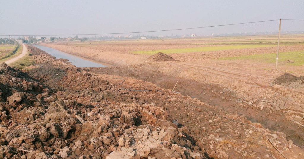 thuốc bảo vệ thực vật