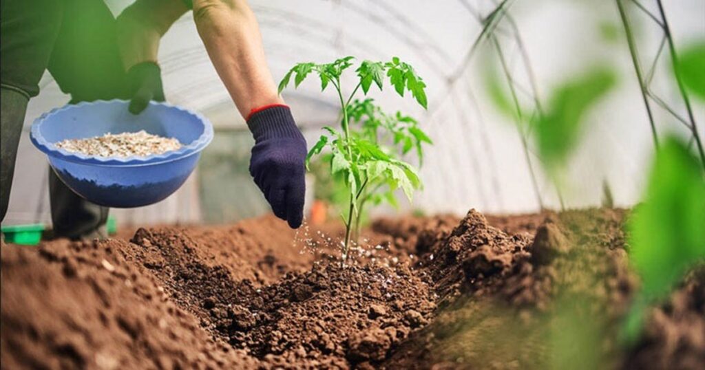 thuốc bảo vệ thực vật