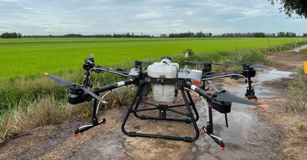 thuốc bảo vệ thực vật