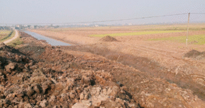 thuốc bảo vệ thực vật