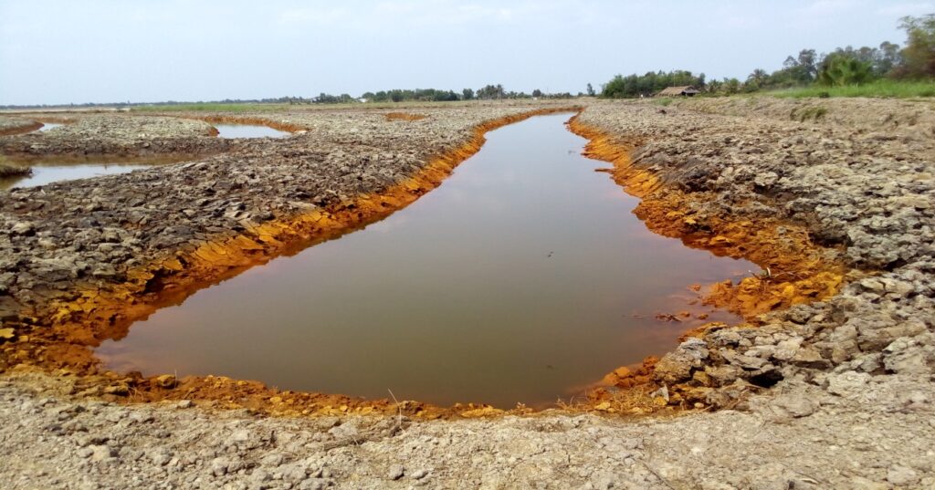 thuốc bảo vệ thực vật