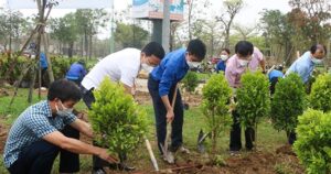 a group of people planting trees