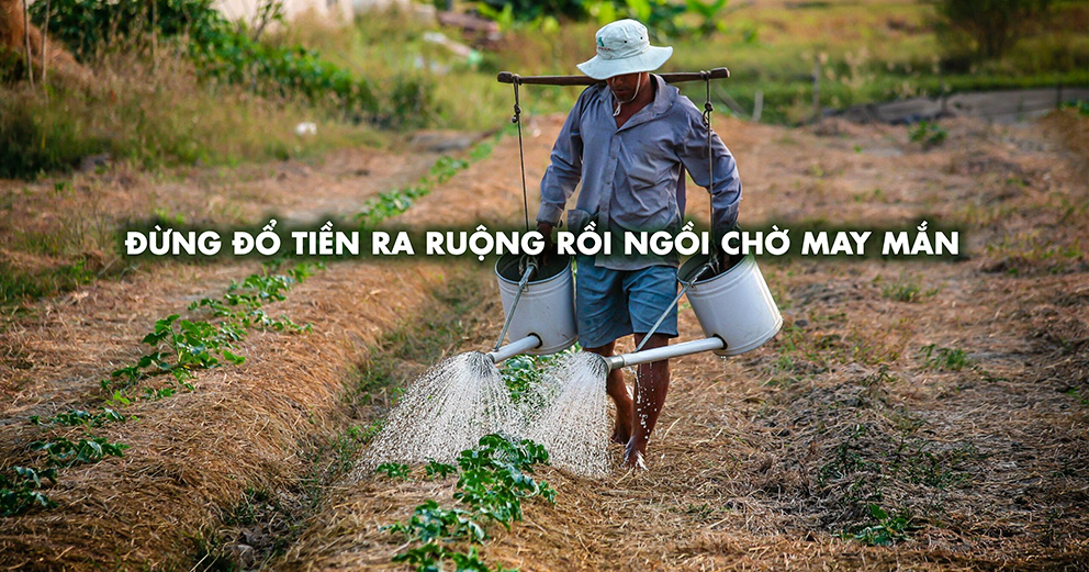 thuốc bảo vệ thực vật