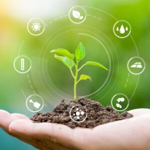 PHÂN BÓN HỮU CƠ