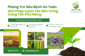 phòng trừ sâu bệnh