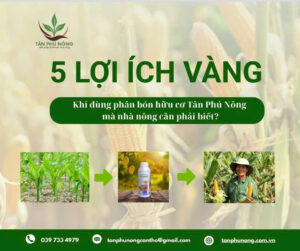 lợi ích