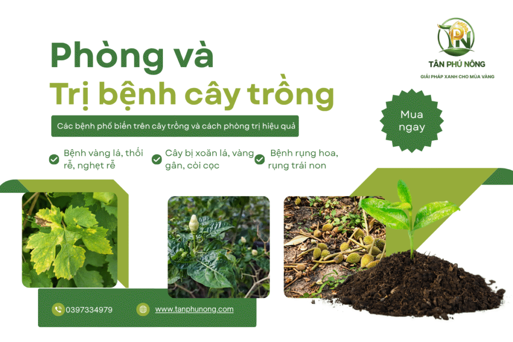 phòng và trị bệnh cây trồng