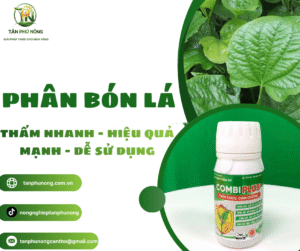 Phân bón lá – Khi nào nên dùng? Giải thích công dụng và thời điểm sử dụng
