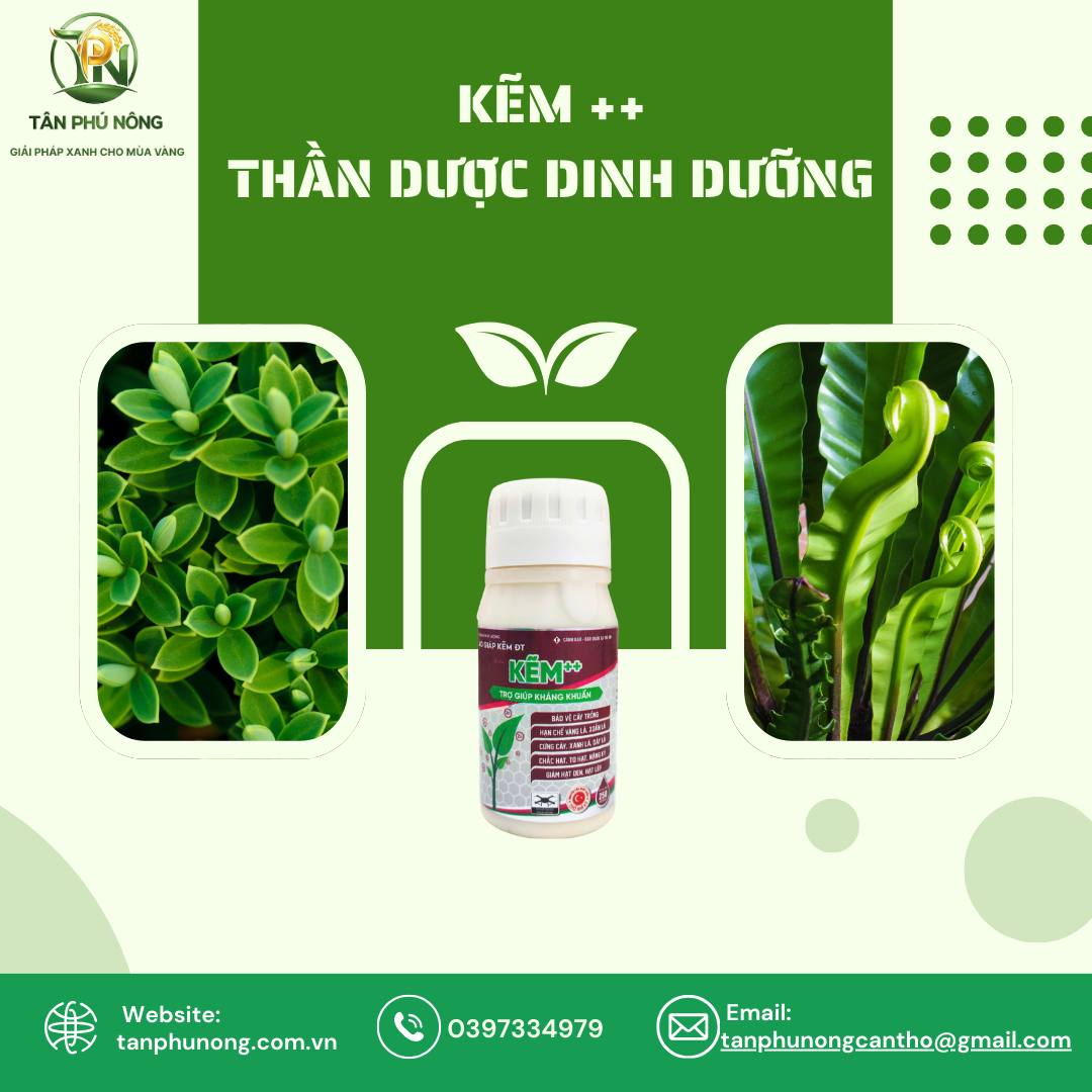 chế phẩm kẽm sinh học