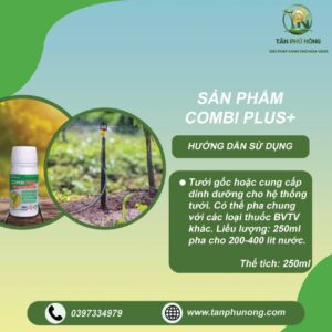 combi plus