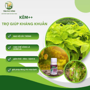 phân bón hữu cơ kẽm++