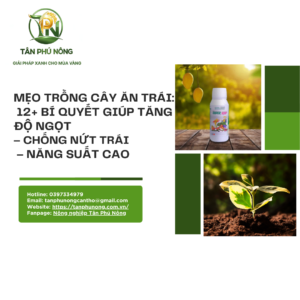 Mẹo Trồng Cây Ăn Trái: 12+ Bí Quyết Giúp Tăng Độ Ngọt – Chống Nứt Trái – Năng Suất Cao