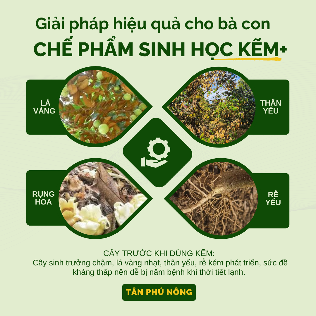 kẽm sinh học cho cây trồng trước khi sử dụng