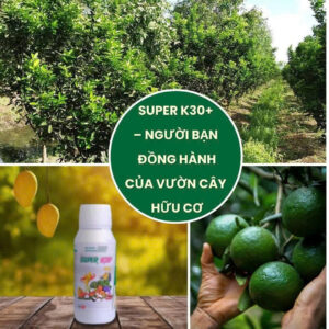 SUPER K30+ tăng đề kháng hạn chế vàng lá tăng đậu trái