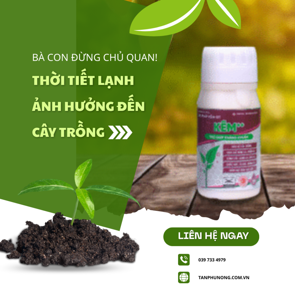 TOP 7 lợi ích của kẽm sinh học cho cây trồng trong thời tiết lạnh miền Tây