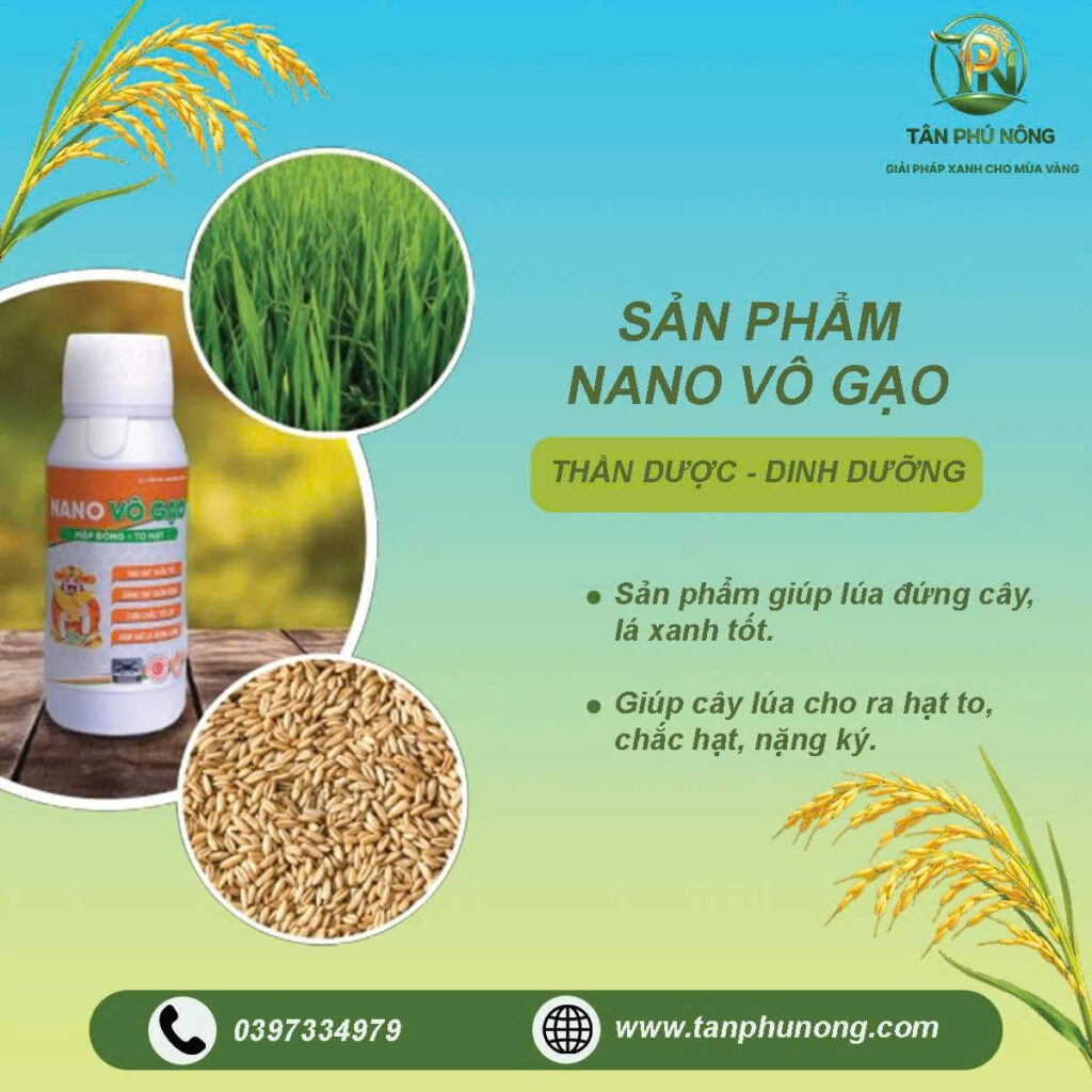 NANO VÔ GẠO chống lép hạt cho lúa